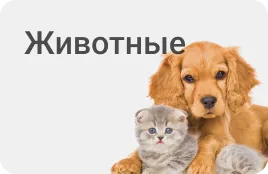 Животные